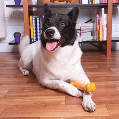 Mordedor Kroco Osso Tradicional Wood Aromatizado Carne para Cães