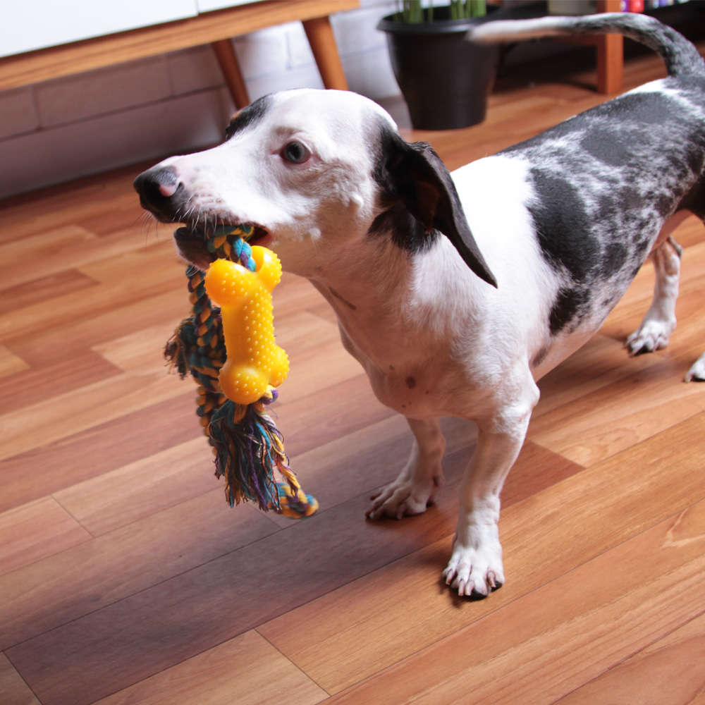 Brinquedo Kroco Mordedor Osso com Corda para Cães - Tam. Único