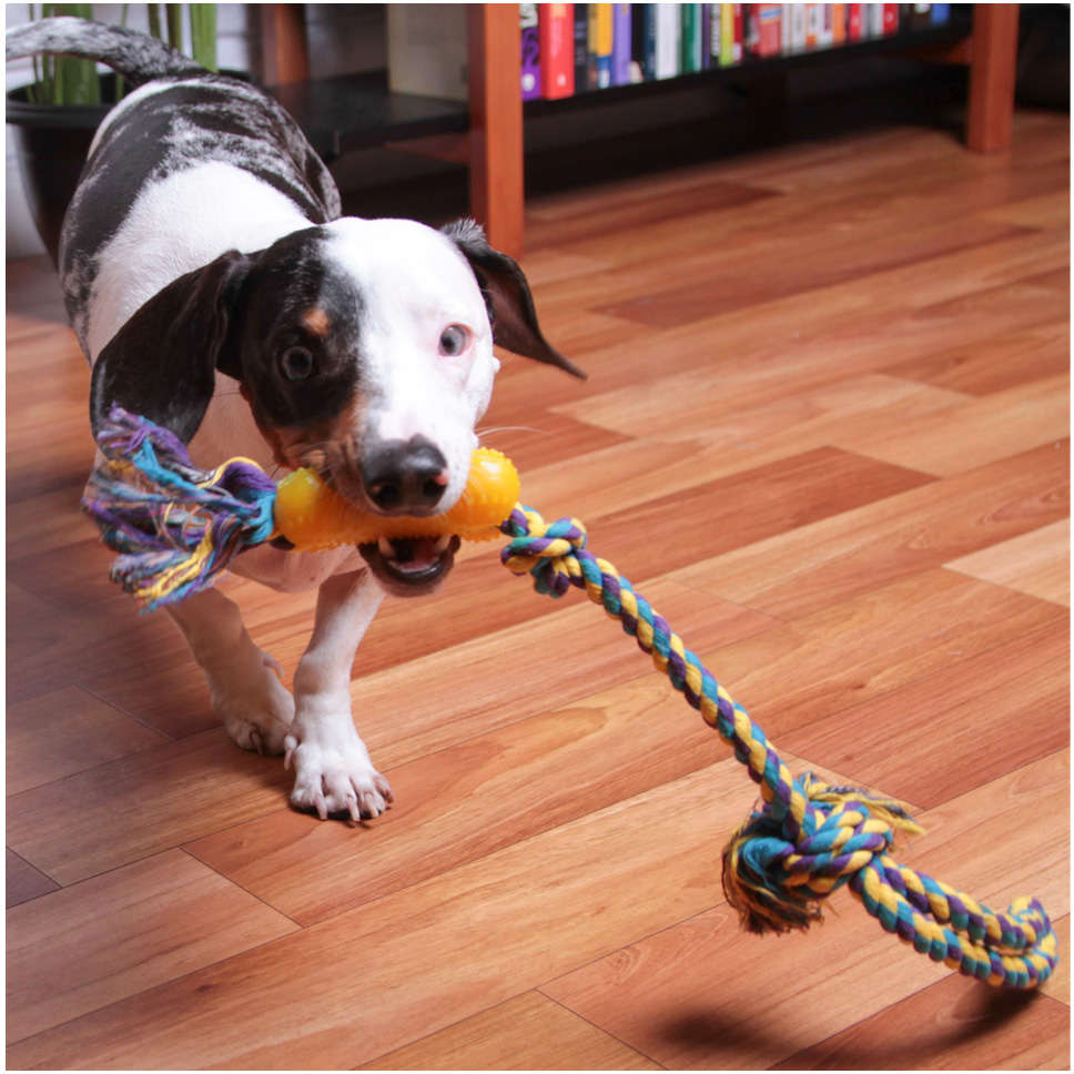 Brinquedo Kroco Mordedor Osso com Corda para Cães - Tam. Único