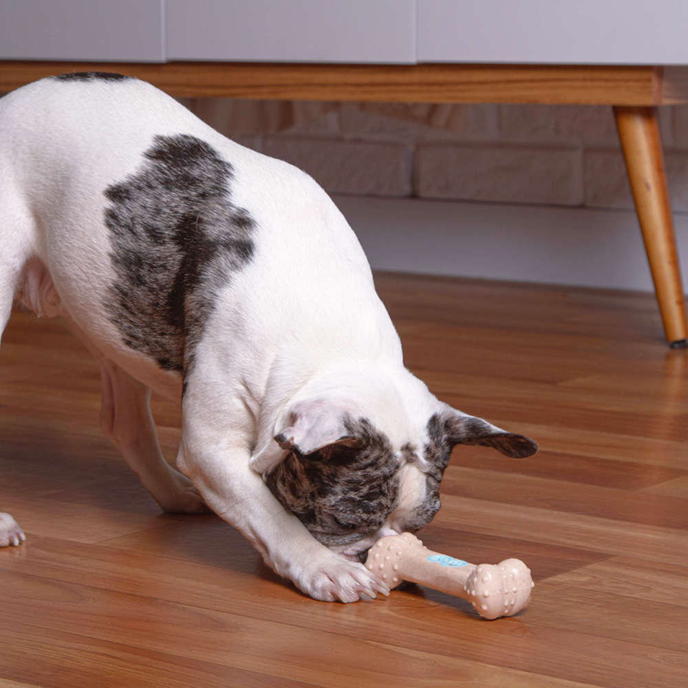 Mordedor Kroco Ossinho Recheável Wood Bege para Cães - Tam. Único