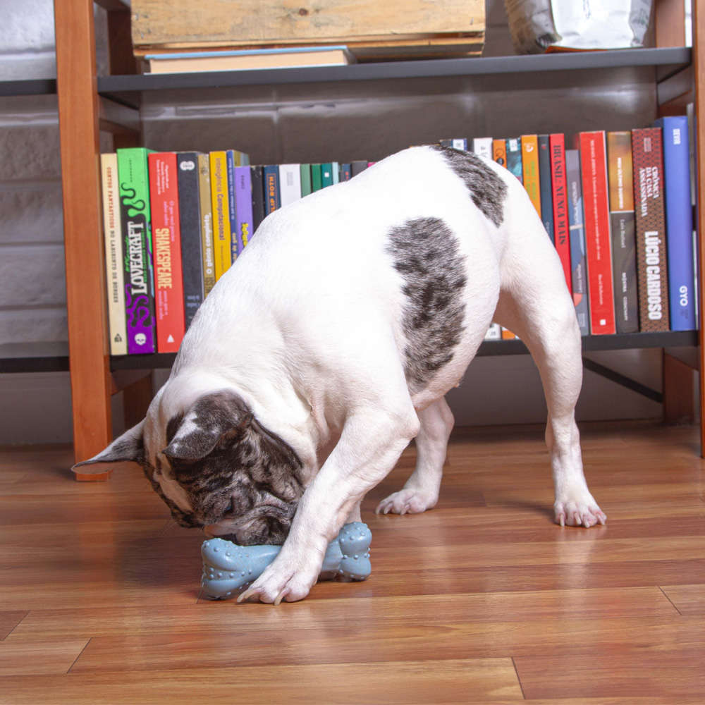 Mordedor Kroco Ossinho Recheável Wood Azul Claro para Cães - Tam. Único