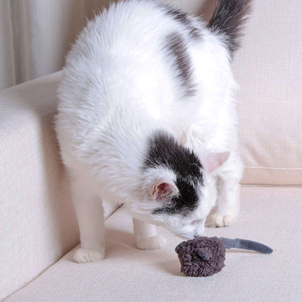Pelúcia Kroco Rato Cinza para Gatos - Tam. Único