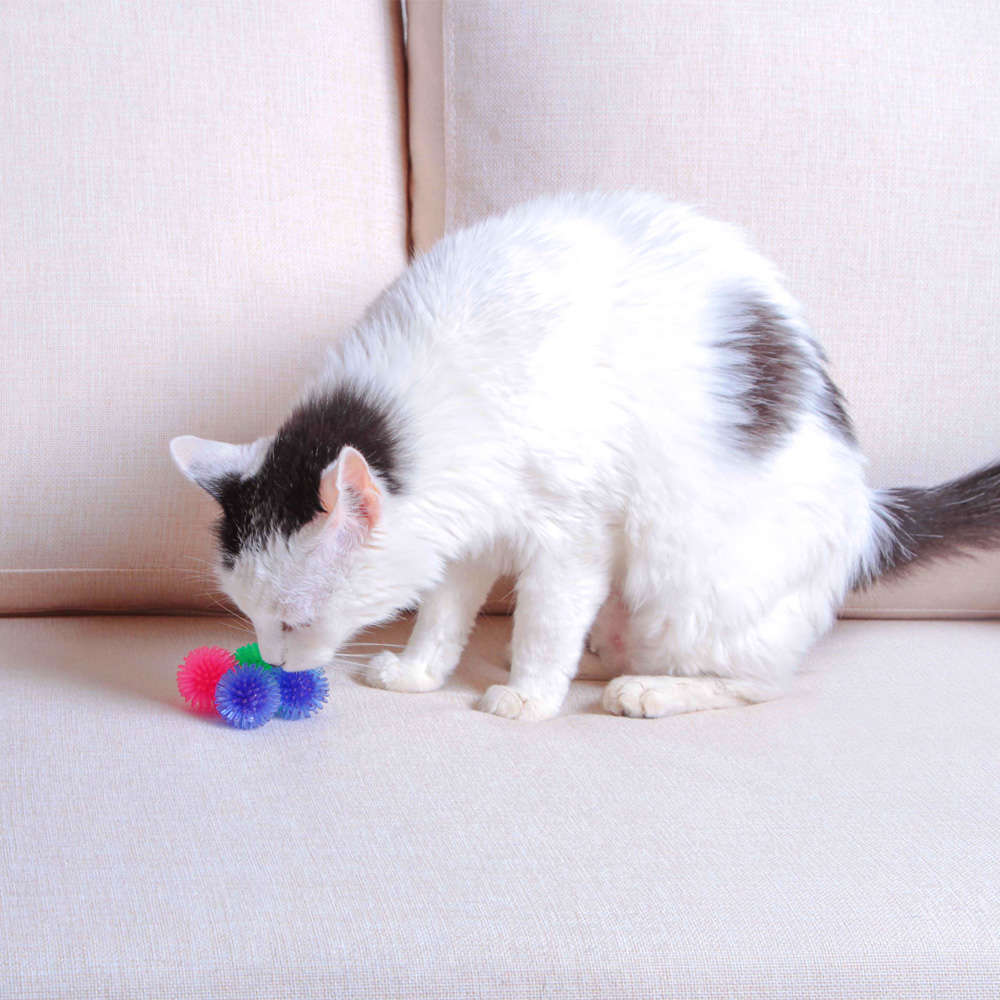 Brinquedo Kroco Bolinha 6 Unidades Coloridas para Gatos - Tam. Único