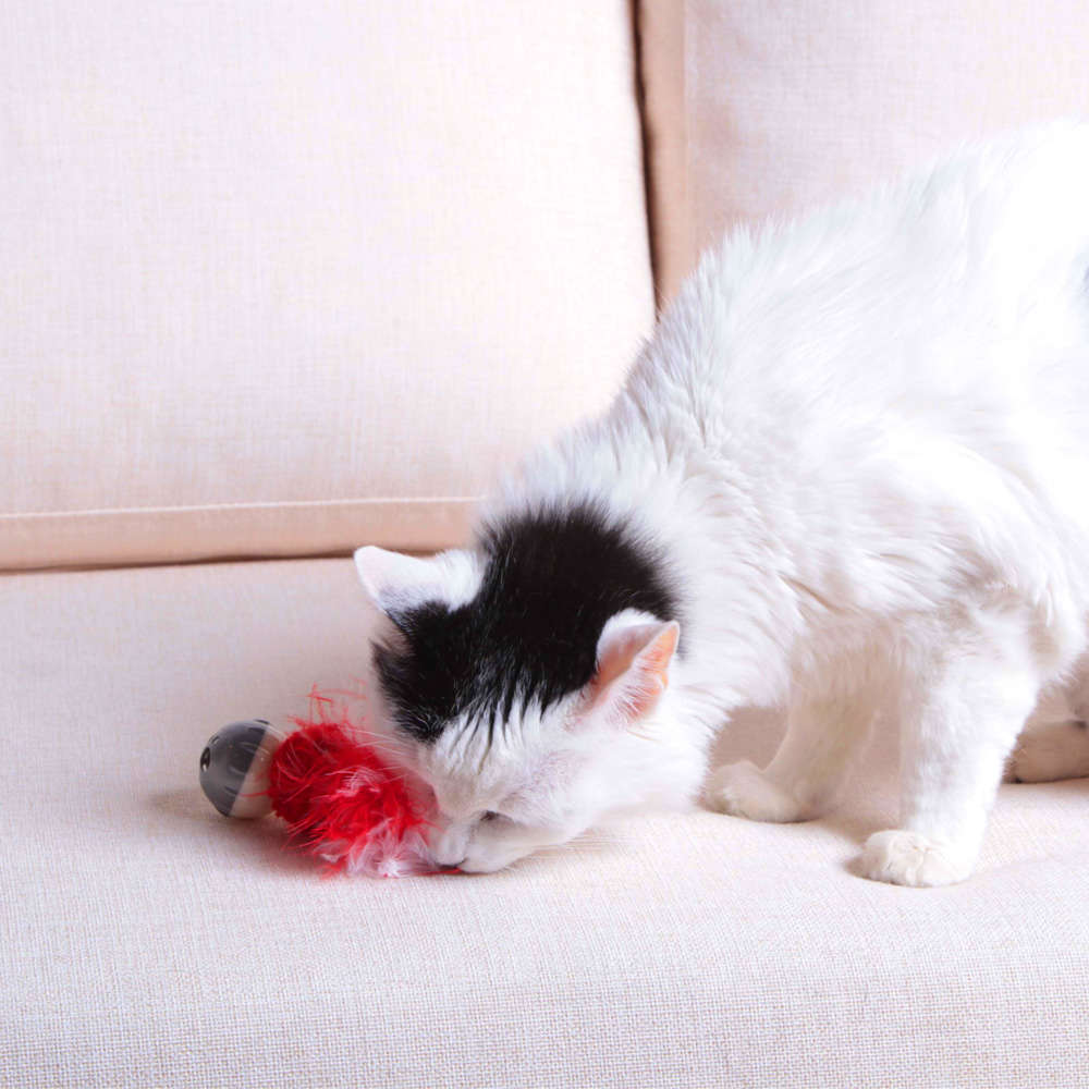 Brinquedo Kroco Bolinha Pelúcia com Penas Vermelho para Gatos - Tam. Único