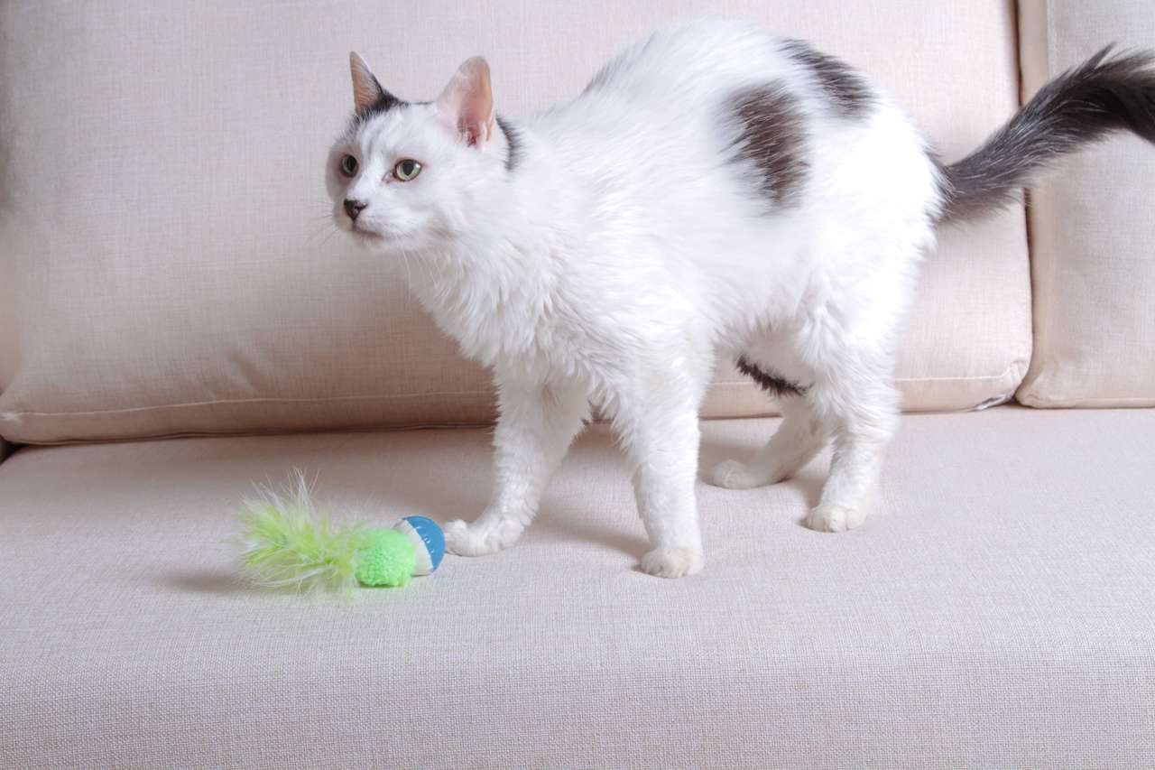 Brinquedo Kroco Bolinha Pelúcia com Penas Verde para Gatos - Tam. Único