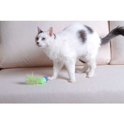 Brinquedo Kroco Bolinha Pelúcia com Penas Verde para Gatos