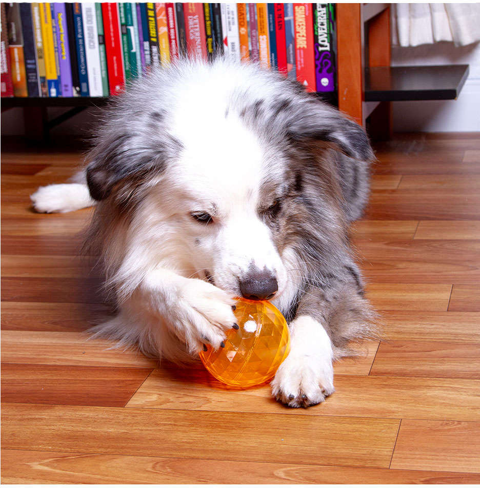 Bolinha Mordedora Kroco Cristal Laranja - Tam. Único