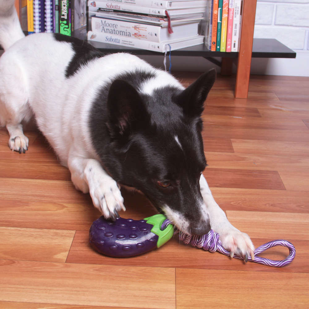 Mordedor Kroco Berinjela com Corda para Cães - Tam. Único