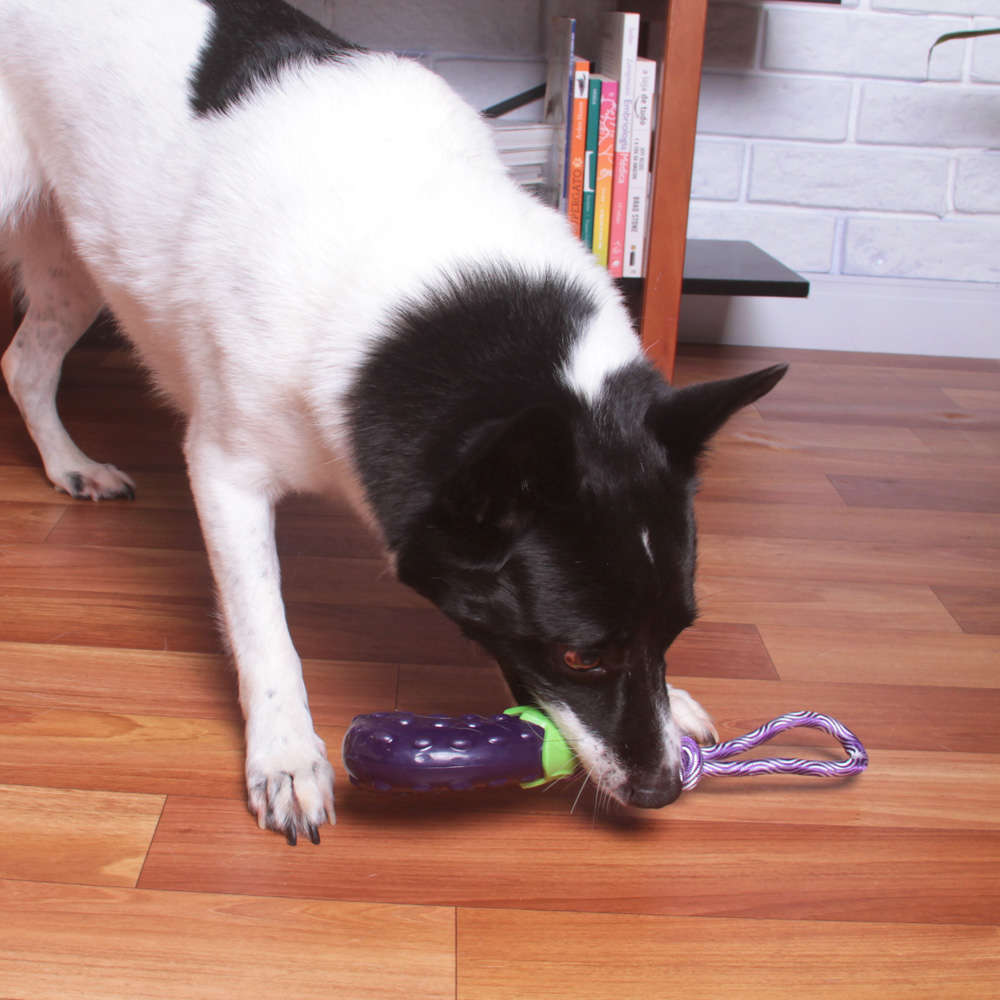 Mordedor Kroco Berinjela com Corda para Cães - Tam. Único