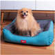 Cama Kroco Neon Azul - Tam. M
