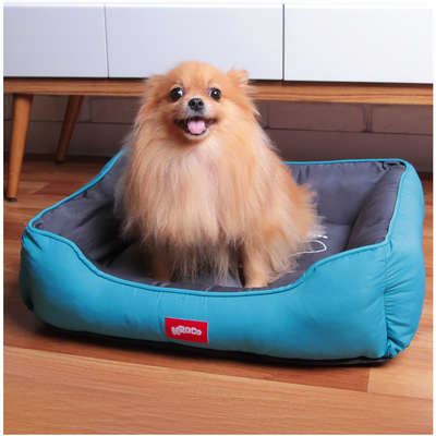 Cama Kroco Neon Azul - Tam. M