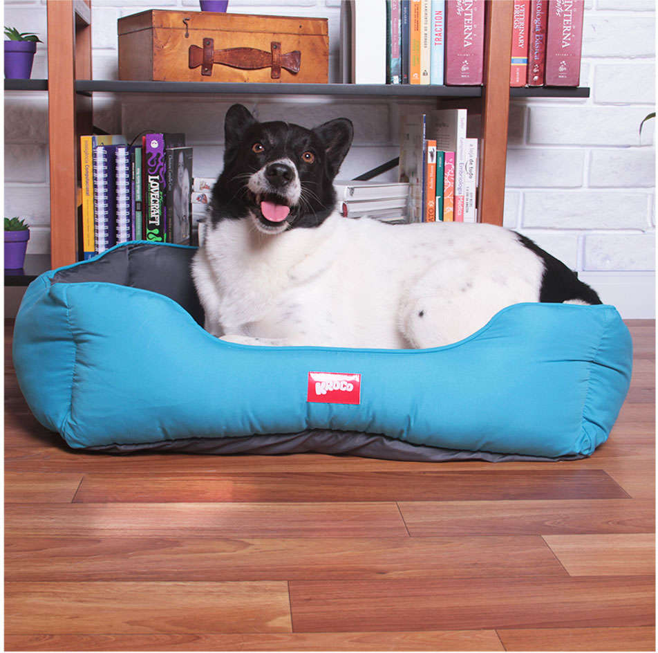 Cama Kroco Neon Azul - Tam. G