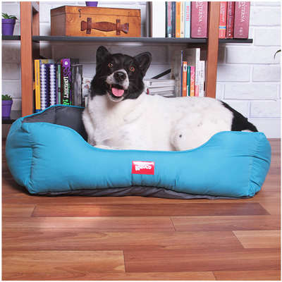 Cama Kroco Neon Azul - Tam. G