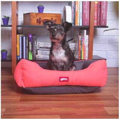 Cama Kroco Neon Rosa - Tam. M