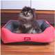Cama Kroco Neon Rosa - Tam. P