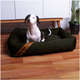Cama Meau Faixa Verde - Tam. G