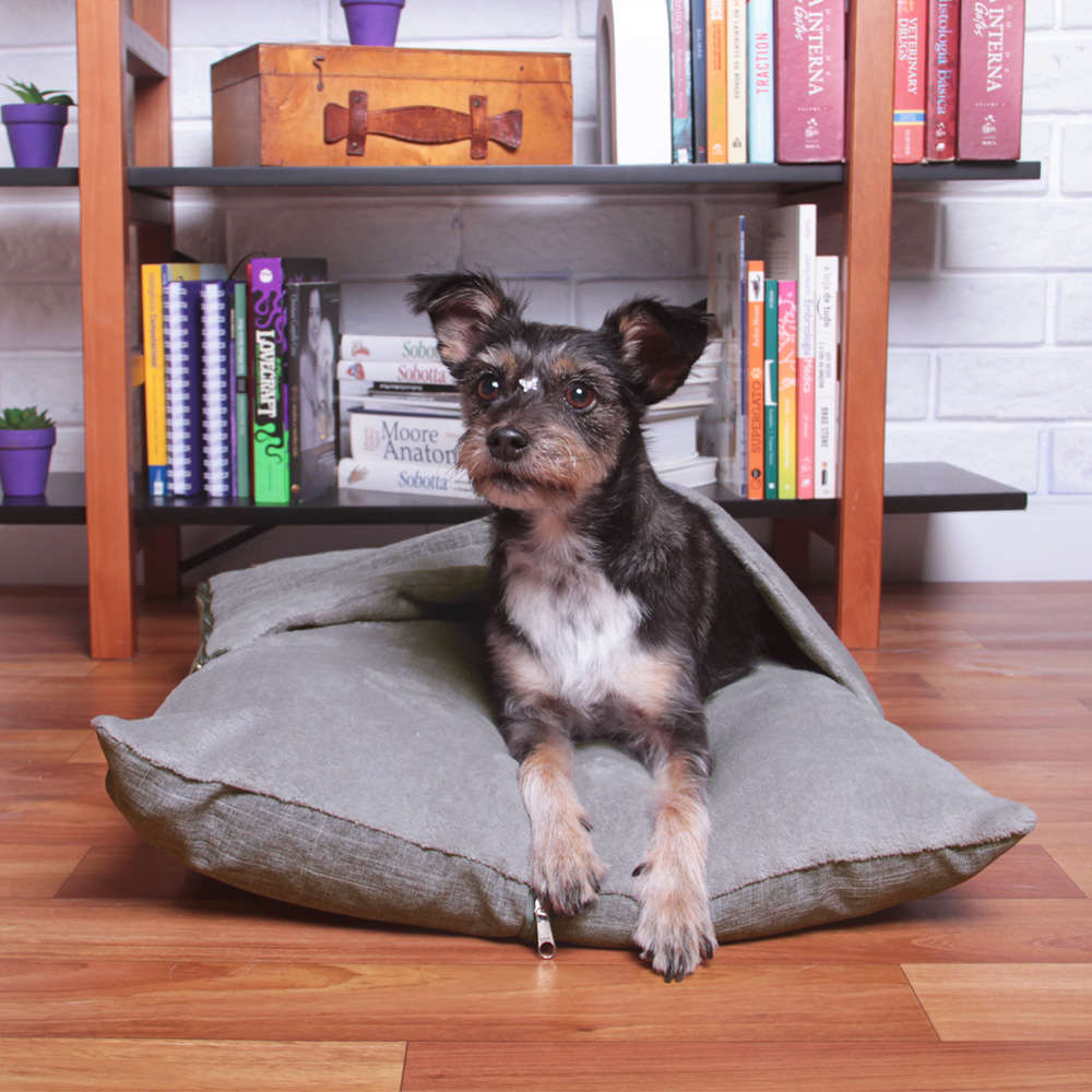 Cama Meau Envelope Cinza - Tam. M