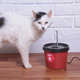 Fonte Bebedouro Kroco Vermelho para Gatos