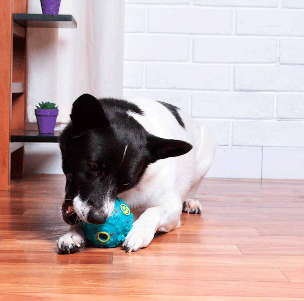 Brinquedo Kroco Bola Interativa Azul para CãeS - Tam. M