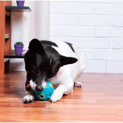 Brinquedo Kroco Bola Interativa Azul para Cães