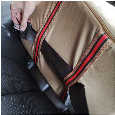 Cama Fábrica Pet Auto D Acqua Caqui