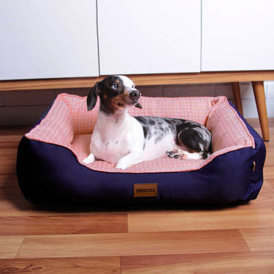 Cama Meau Exclusive Rose