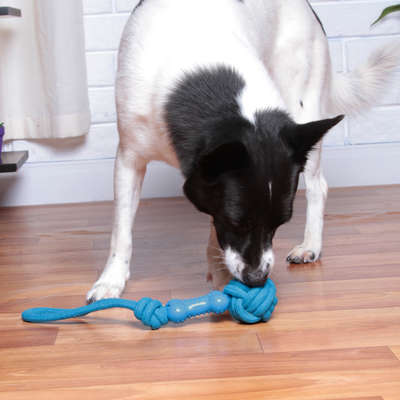 Brinquedo de Corda Kroco Puxador Azul
