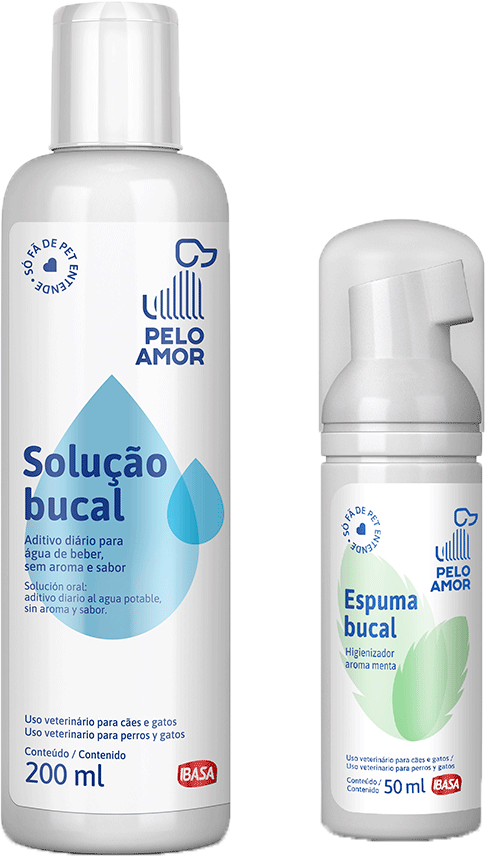 Kit Ibasa Espuma Bucal e Solução de Higiene Bucal - KIT