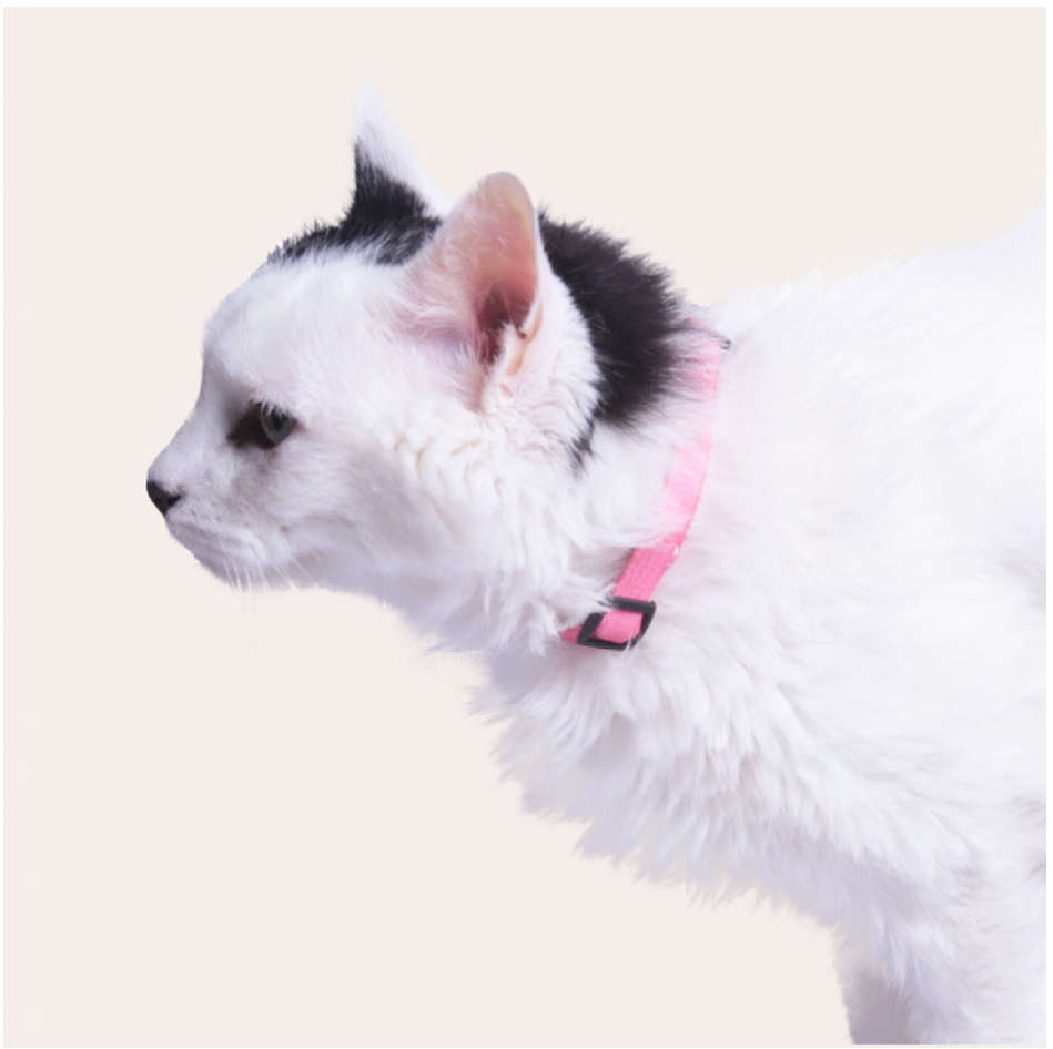 Coleira Meau Rosa para Gatos - Tam. Único
