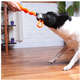 Brinquedo de Corda Kroco Puxador Laranja