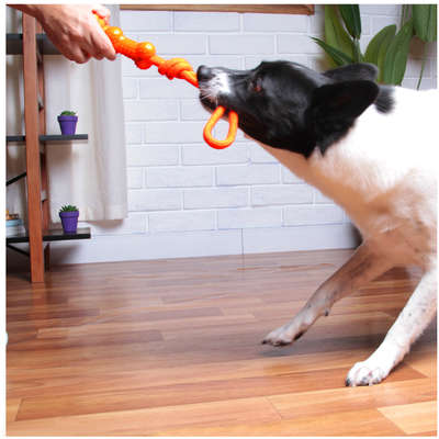 Brinquedo de Corda Kroco Puxador Laranja