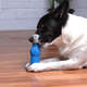 Brinquedo Kroco Mordedor Garrafinha Azul para Cães