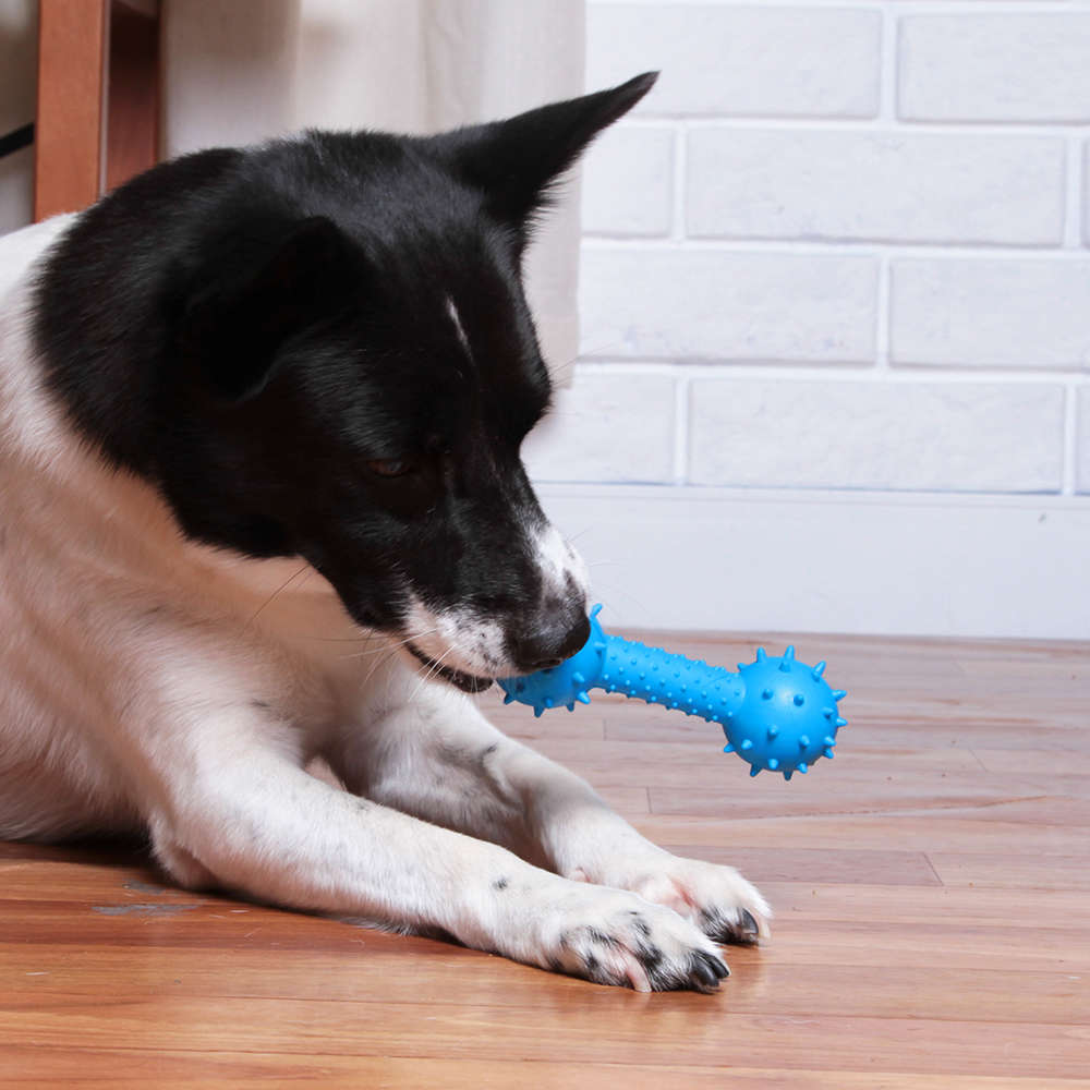 Brinquedo Kroco Mordedor Halteres Azul para Cães - Tam. Único