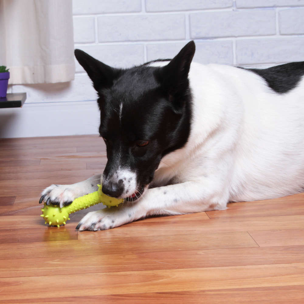 Brinquedo Kroco Mordedor Halteres Verde para Cães - Tam. Único
