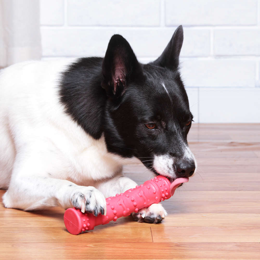 Brinquedo Kroco Mordedor Massageador Vermelho para Cães - Tam. Único