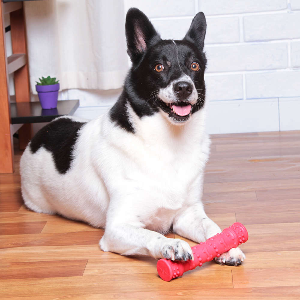 Brinquedo Kroco Mordedor Massageador Vermelho para Cães - Tam. Único