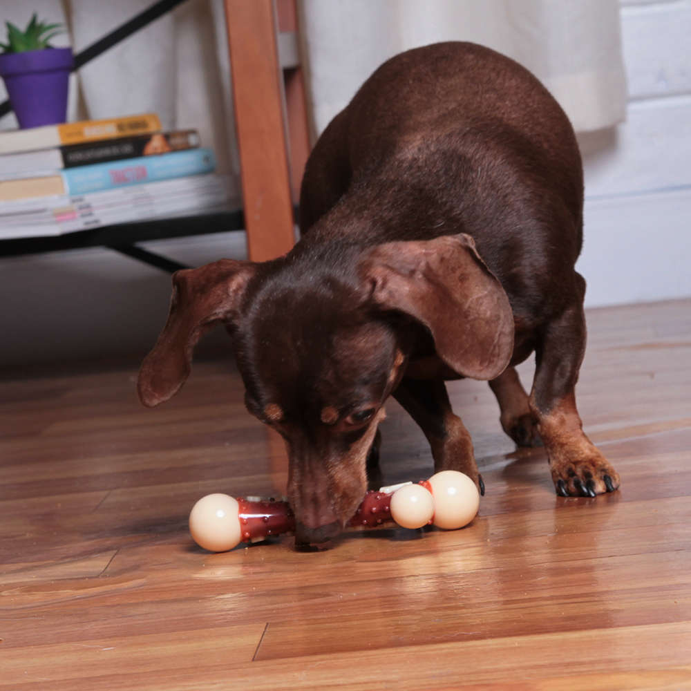Mordedor Kroco Osso Aromatizado Bacon para Cães - Tam. M