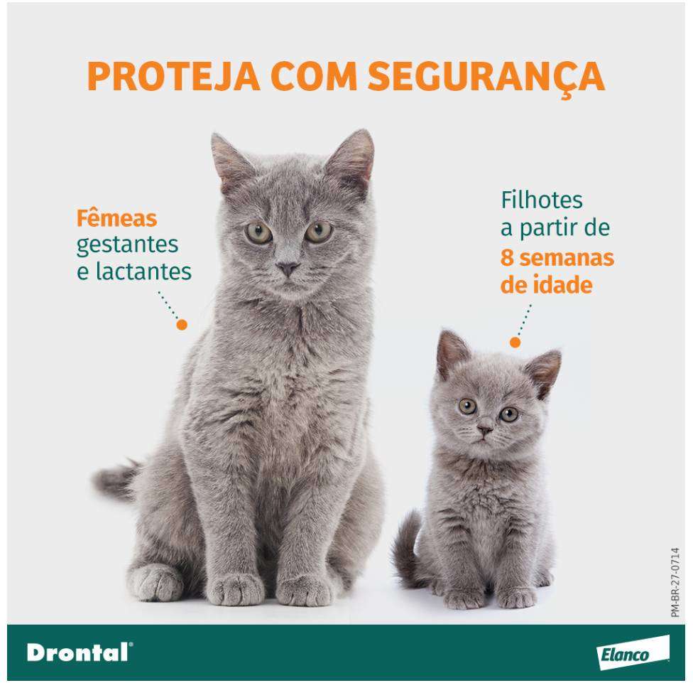 Vermífugo Drontal SpotOn para Gatos de 2,5Kg a 5Kg - 1 Bisnaga