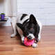 Brinquedo Kroco Bola Interativa Rosa para Cães