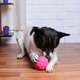 Brinquedo Kroco Bola Interativa Rosa para Cães