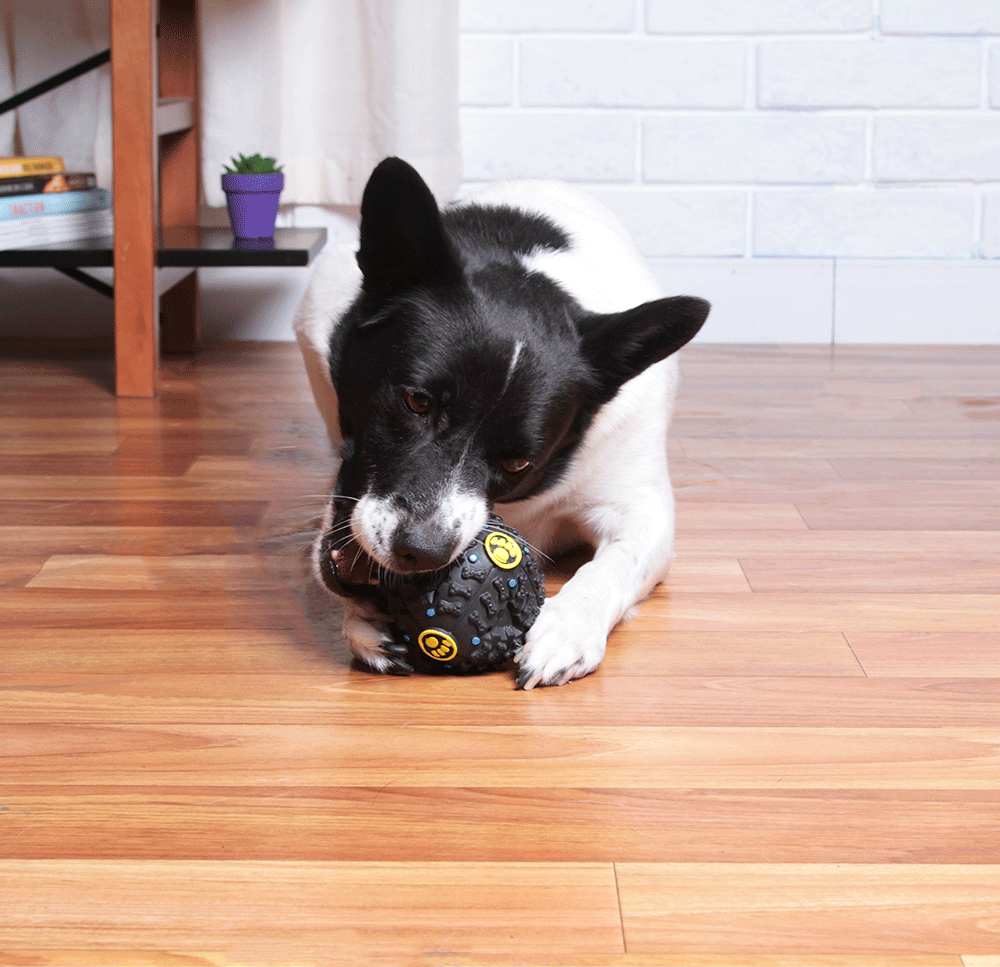 Brinquedo Kroco Bola Interativa Preto para Cães - Tam. M