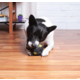 Brinquedo Kroco Bola Interativa Preto para Cães