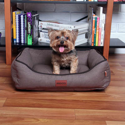 Cama Meau New Collection Bege