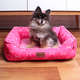 Cama Meau Munique Pink