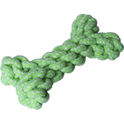 Brinquedo de Corda Kroco Osso Verde