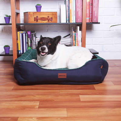 Cama Meau Exclusive Verde - Tam. G