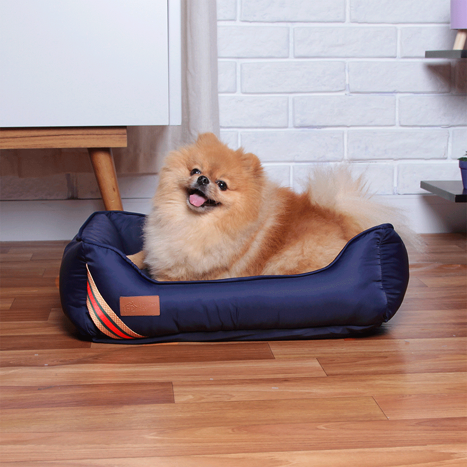 Cama Fábrica Pet D Acqua Azul - Tam. P