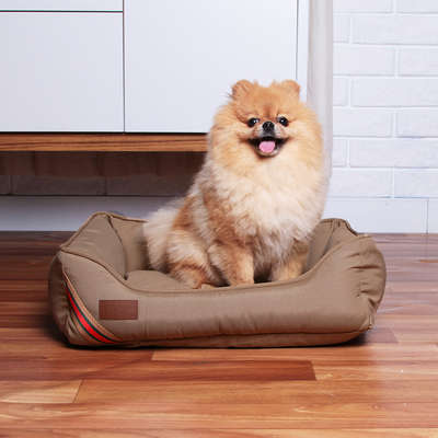 Cama Fábrica Pet D Acqua Caqui