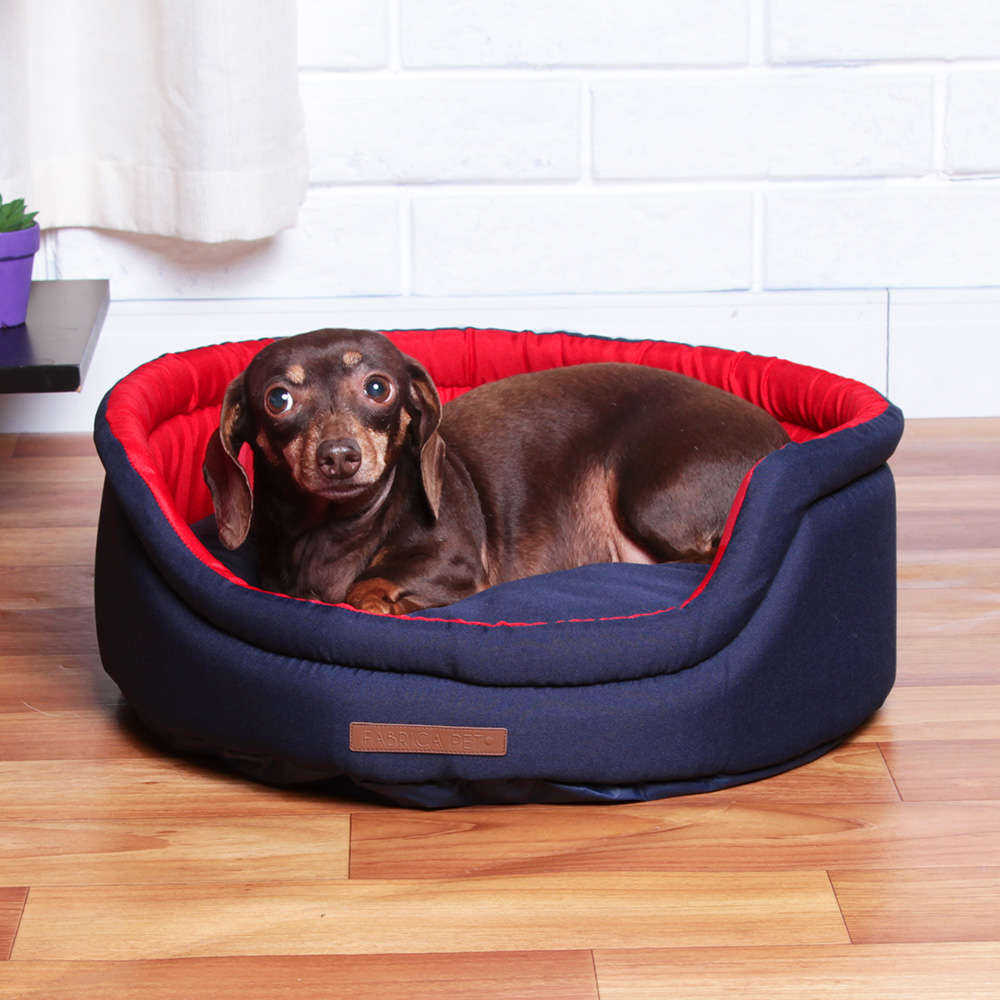 Cama Fábrica Pet Dog Cat Azul - Tam. M