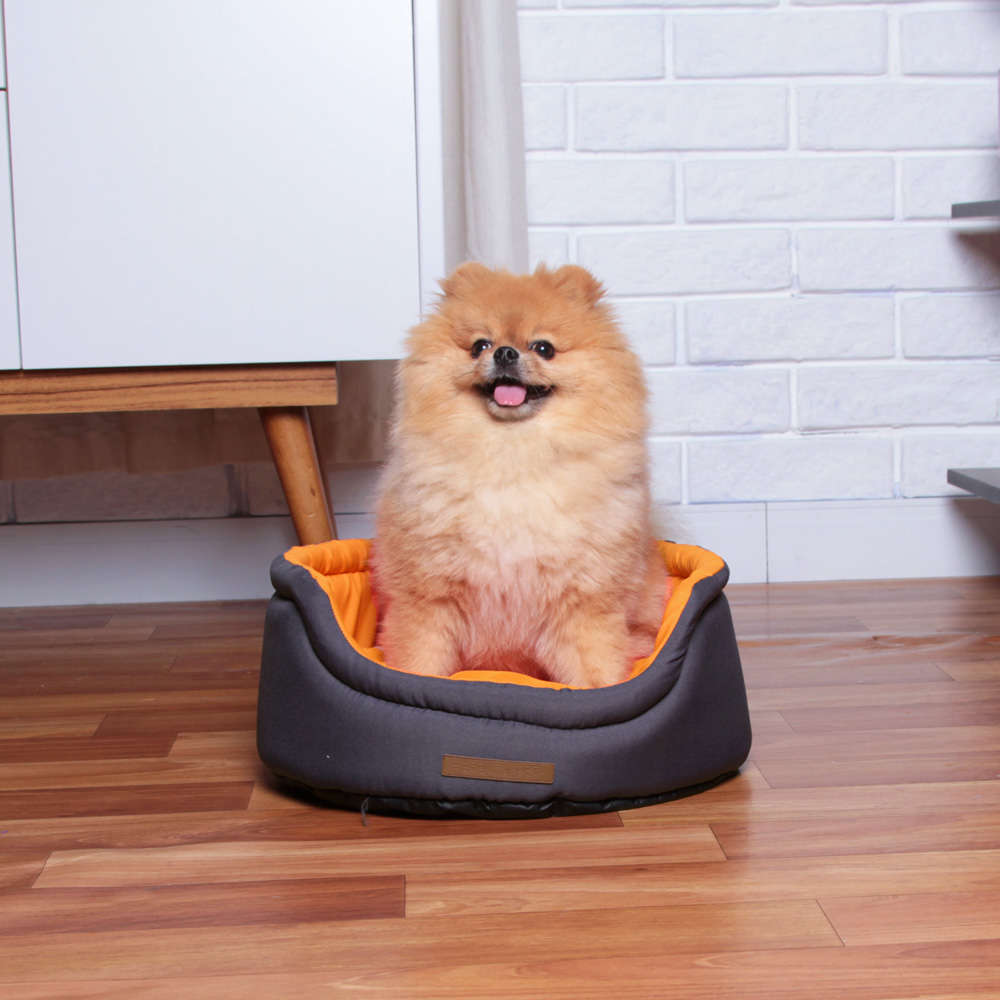 Cama Fábrica Pet Dog Cat Cinza - Tam. P